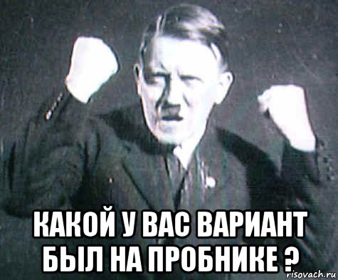  какой у вас вариант был на пробнике ?, Мем ГИТЛЕр