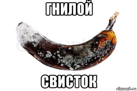 гнилой свисток