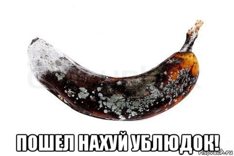  пошел нахуй ублюдок!