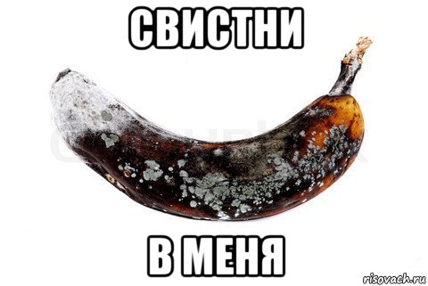 свистни в меня