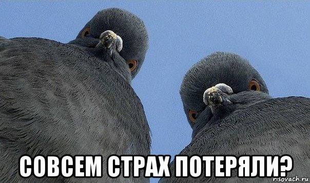  совсем страх потеряли?