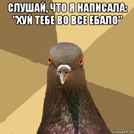 слушай, что я написала: "хуй тебе во все ебало" , Мем голубь