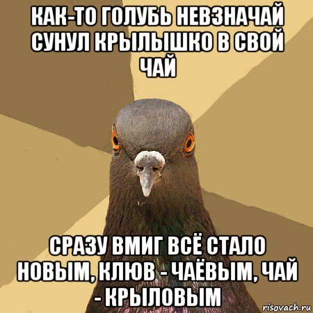 как-то голубь невзначай сунул крылышко в свой чай сразу вмиг всё стало новым, клюв - чаёвым, чай - крыловым, Мем голубь