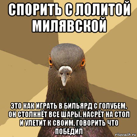 спорить с лолитой милявской это как играть в бильярд с голубем, он столкнёт все шары. насрёт на стол и улетит к своим, говорить что победил, Мем голубь