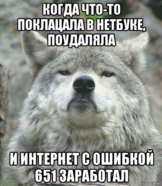 когда что-то поклацала в нетбуке, поудаляла и интернет с ошибкой 651 заработал, Мем    Гордый волк