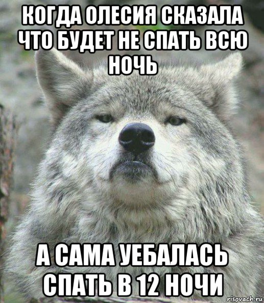 когда олесия сказала что будет не спать всю ночь а сама уебалась спать в 12 ночи, Мем    Гордый волк