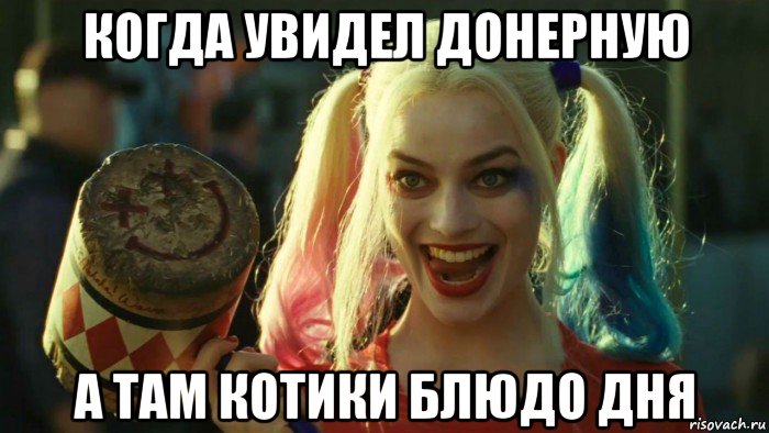 когда увидел донерную а там котики блюдо дня, Мем    Harley quinn