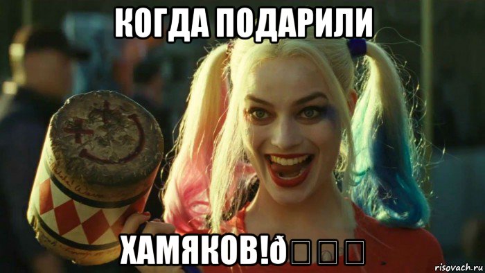 Мем    Harley quinn