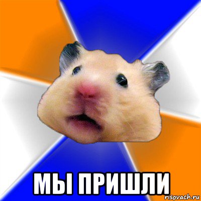  мы пришли, Мем Хомяк