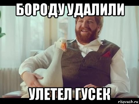 бороду удалили улетел гусек, Мем Хорошечно