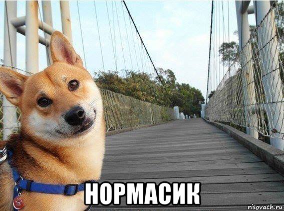 нормасик, Мем Хуйня