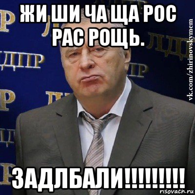 жи ши ча ща рос рас рощь. задлбали!!!!!!!!!, Мем Хватит это терпеть (Жириновский)