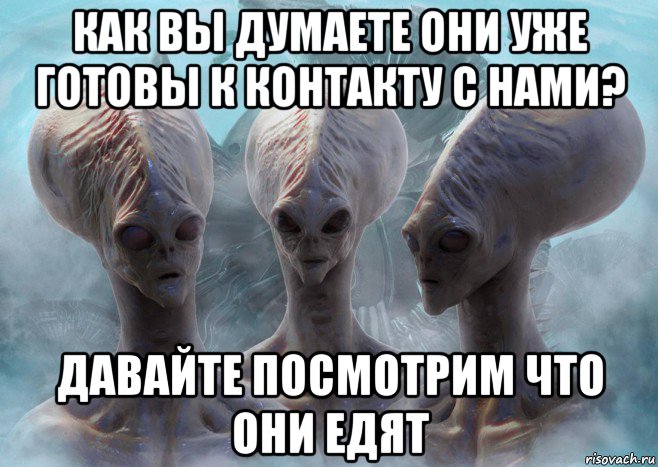 как вы думаете они уже готовы к контакту с нами? давайте посмотрим что они едят