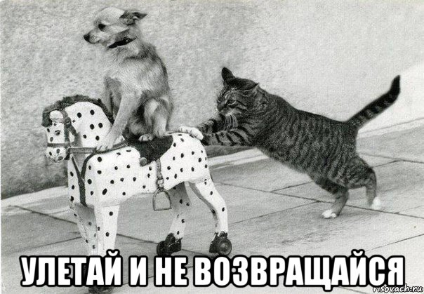  улетай и не возвращайся