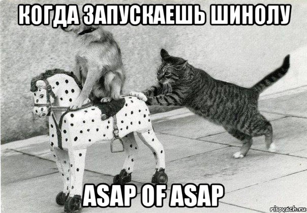 когда запускаешь шинолу asap of asap