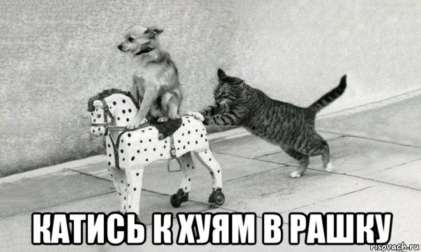  катись к хуям в рашку