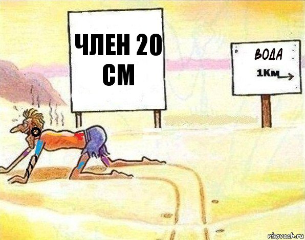 член 20 см