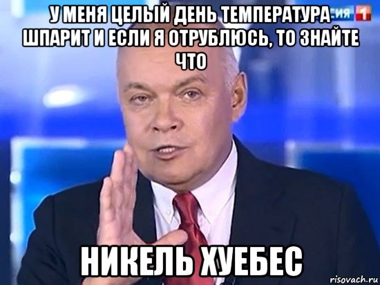 у меня целый день температура шпарит и если я отрублюсь, то знайте что никель хуебес, Мем Киселёв 2014