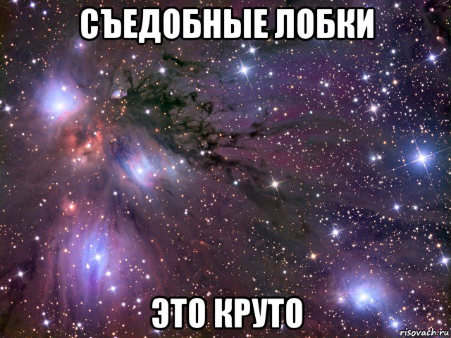 съедобные лобки это круто, Мем Космос