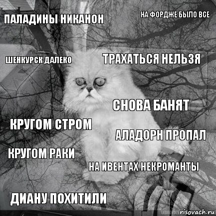 паладины никанон аладорн пропал трахаться нельзя диану похитили кругом стром на фордже было все на ивентах некроманты шенкурск далеко кругом раки снова банят, Комикс  кот безысходность