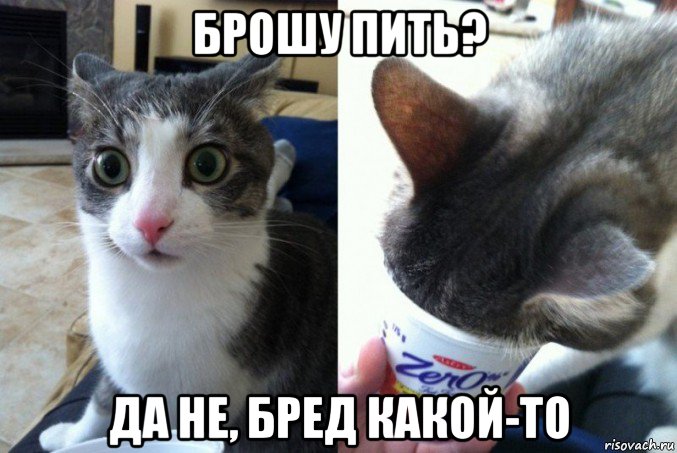 брошу пить? да не, бред какой-то
