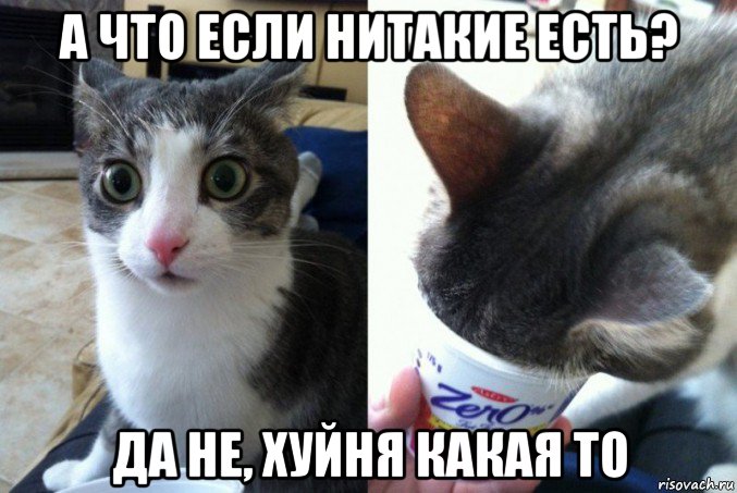 а что если нитакие есть? да не, хуйня какая то