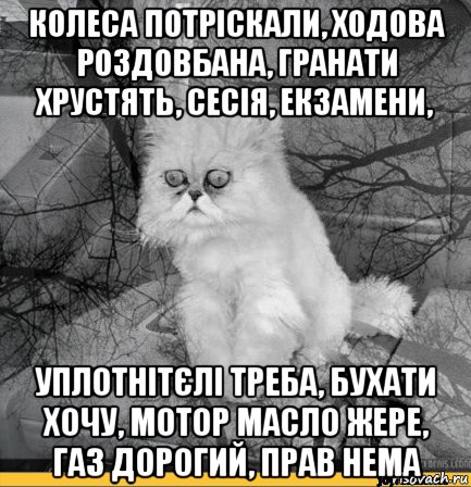 колеса потріскали, ходова роздовбана, гранати хрустять, сесія, екзамени, уплотнітєлі треба, бухати хочу, мотор масло жере, газ дорогий, прав нема