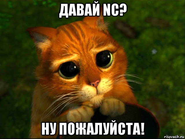 давай nc? ну пожалуйста!, Мем кот из шрека