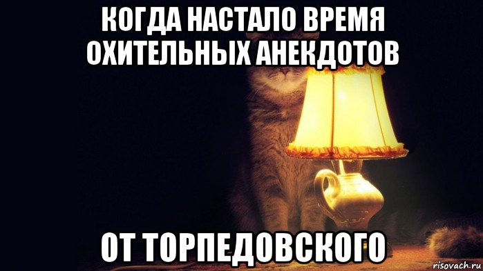 когда настало время охительных анекдотов от торпедовского