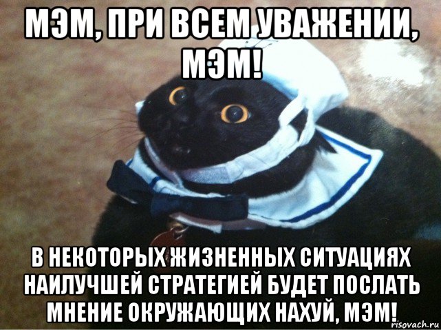 мэм, при всем уважении, мэм! в некоторых жизненных ситуациях наилучшей стратегией будет послать мнение окружающих нахуй, мэм!, Мем Кот-матрос