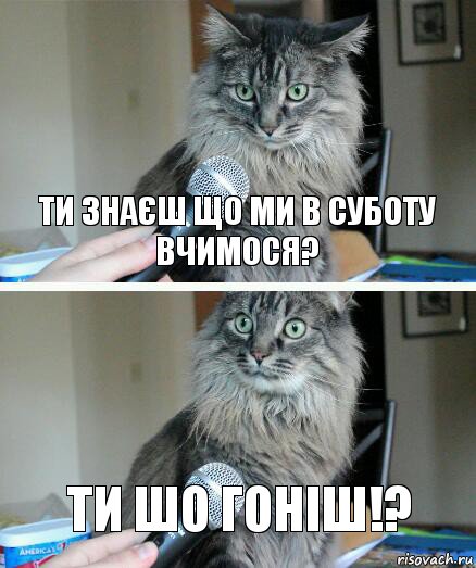 ТИ ЗНАЄШ ЩО МИ В СУБОТУ ВЧИМОСЯ? ТИ ШО ГОНІШ!?, Комикс  кот с микрофоном