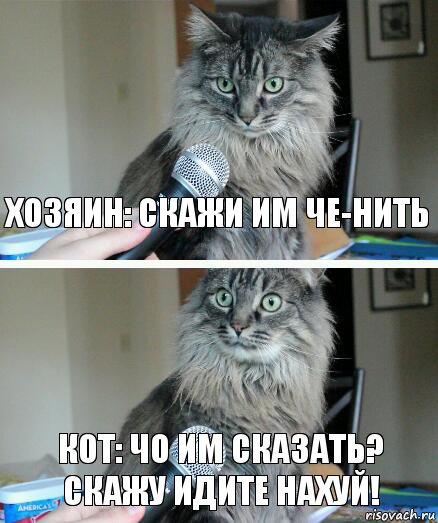 Хозяин: Скажи им че-нить Кот: Чо им сказать? СКАЖУ ИДИТЕ НАхуй!, Комикс  кот с микрофоном