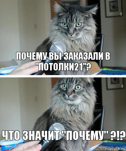 Почему вы заказали в "потолки21"? что значит "почему" ?!?, Комикс  кот с микрофоном