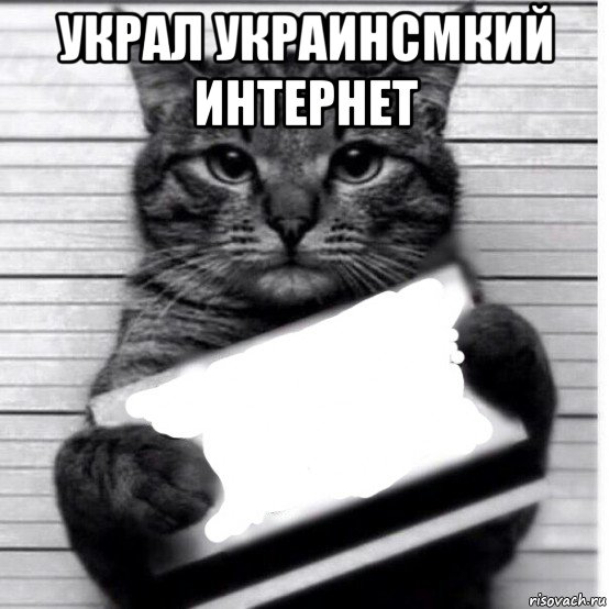 украл украинсмкий интернет , Мем Кот с табличкой