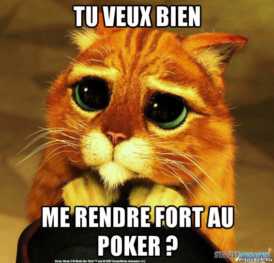 tu veux bien me rendre fort au poker ?, Мем Котик из Шрека