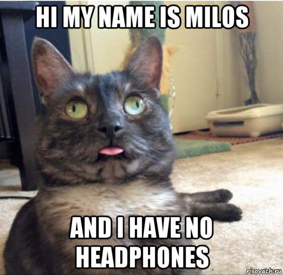 hi my name is milos and i have no headphones, Мем   Кот завис