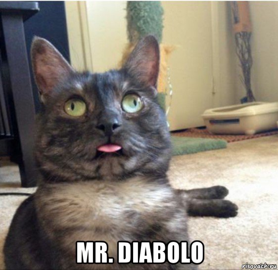  mr. diabolo, Мем   Кот завис