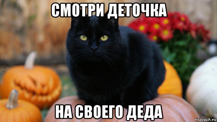 смотри деточка на своего деда