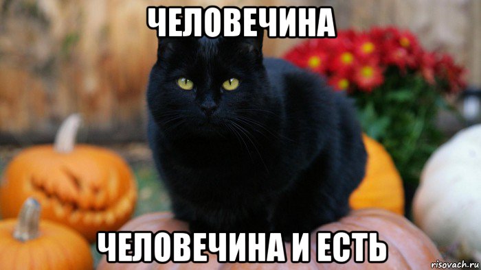 человечина человечина и есть