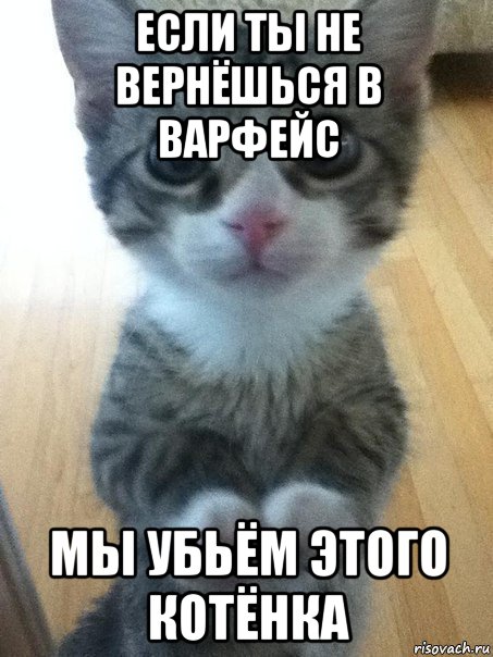 если ты не вернёшься в варфейс мы убьём этого котёнка