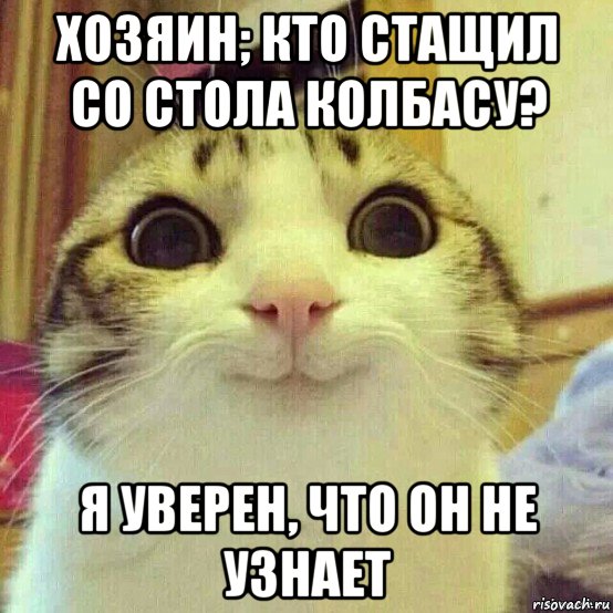 хозяин; кто стащил со стола колбасу? я уверен, что он не узнает, Мем       Котяка-улыбака