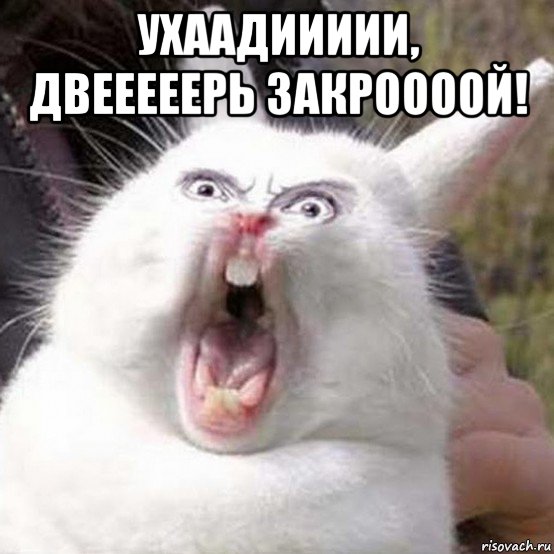 ухаадиииии, двееееерь закроооой! 