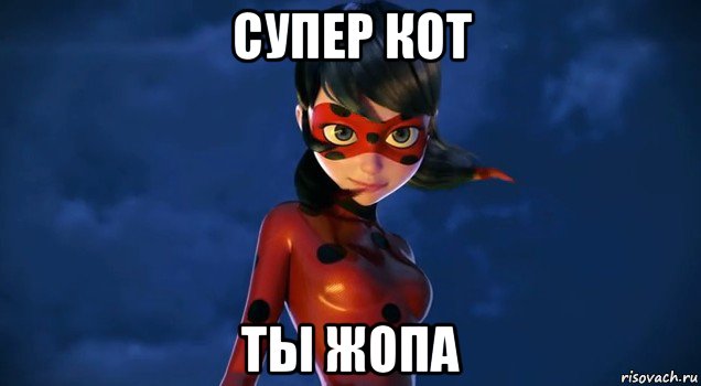 супер кот ты жопа