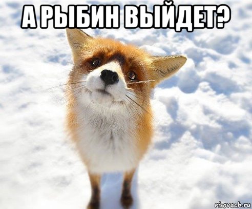 а рыбин выйдет? 