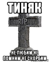 тиняк не любим не помним не скорбим