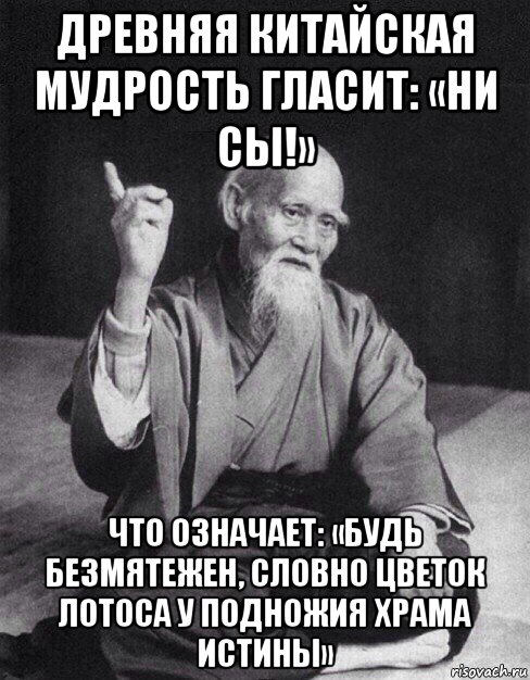 древняя китайская мудрость гласит: «ни сы!» что означает: «будь безмятежен, словно цветок лотоса у подножия храма истины», Мем Монах-мудрец (сэнсей)