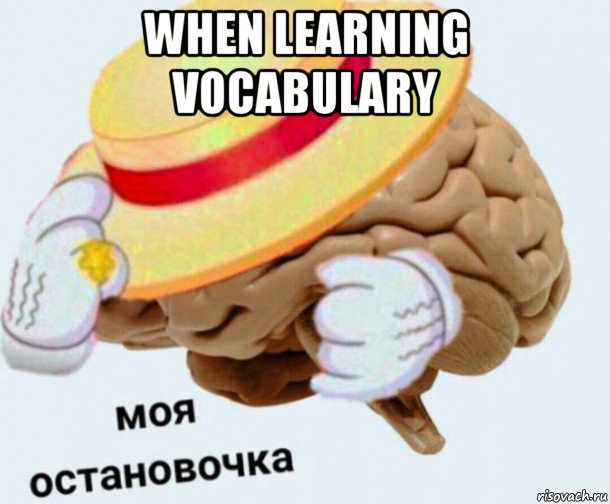 when learning vocabulary , Мем   Моя остановочка мозг