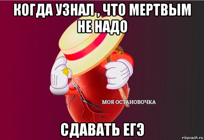 когда узнал , что мертвым не надо сдавать егэ, Мем   Моя остановочка