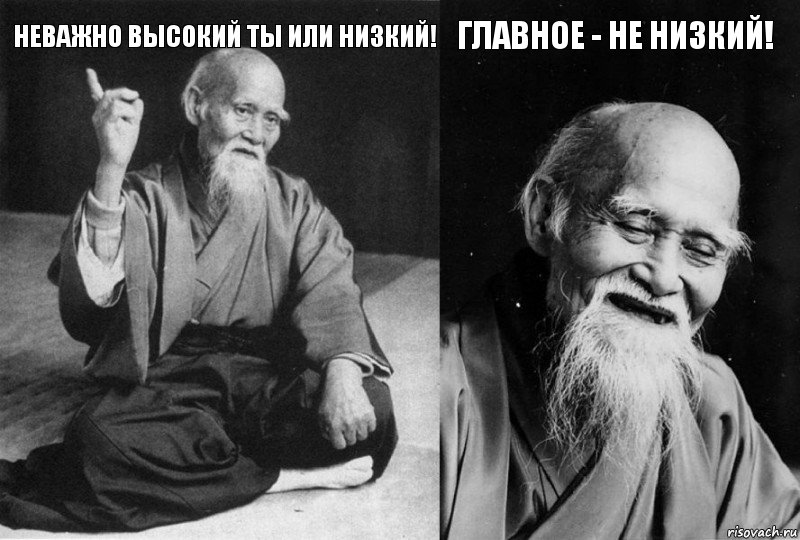 неважно высокий ты или низкий!  главное - не низкий! , Комикс Мудрец-монах (4 зоны)