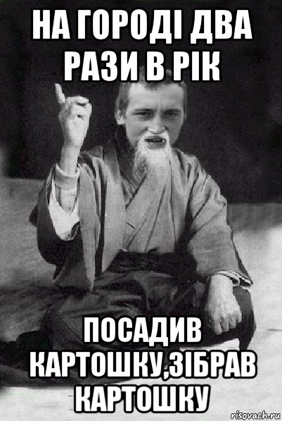 на городі два рази в рік посадив картошку,зібрав картошку, Мем Мудрий паца